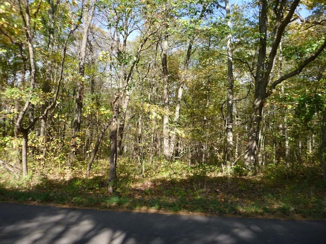 VL W Ab Ave, Otsego, MI 49078 - photo 1