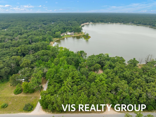0 E Calumet Rd, Twin Lake, MI 49457 - photo 13