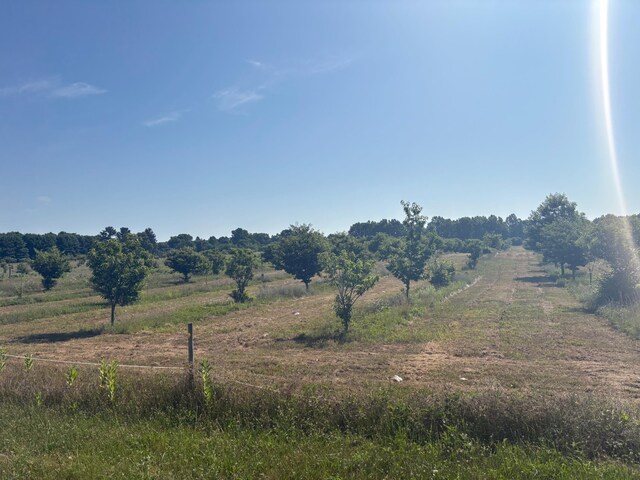 Leach Rd, Dowagiac, MI 49047 - photo 4