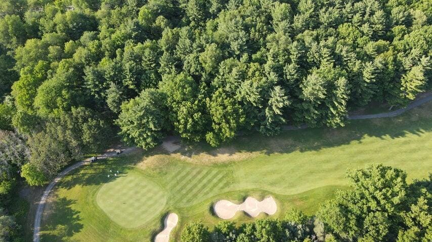 12905 Bowen Lake Dr, Gowen, MI 49326 - photo 1