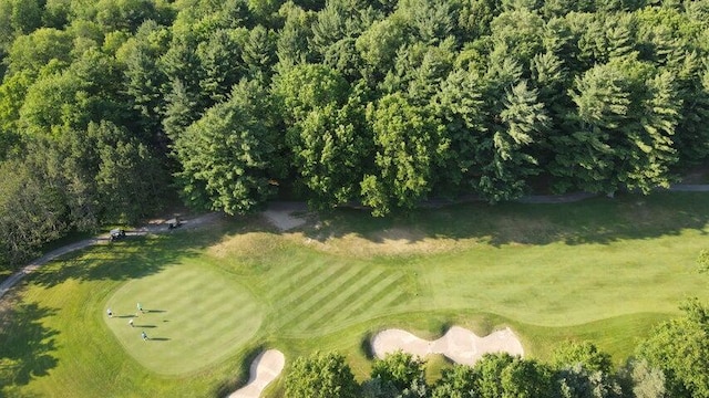 12905 Bowen Lake Dr, Gowen, MI 49326 - photo 3