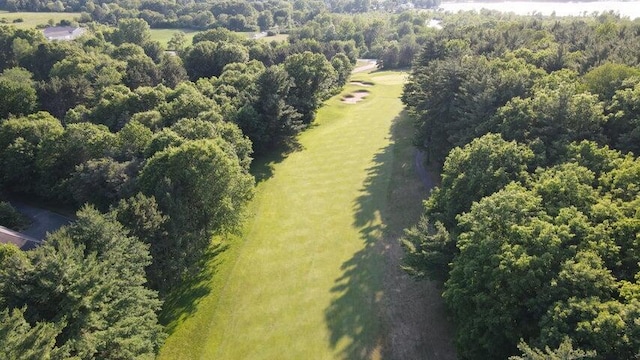 12905 Bowen Lake Dr, Gowen, MI 49326 - photo 4