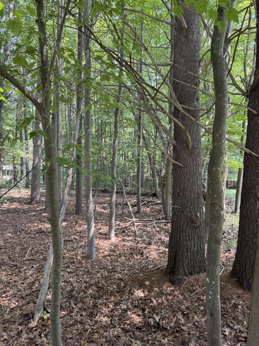 VL 3rd Ave, Pentwater, MI 49449 - photo 1