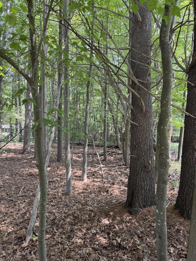 VL 3rd Ave, Pentwater, MI 49449 - photo 1