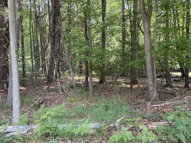 VL 3rd Ave, Pentwater, MI 49449 - photo 3