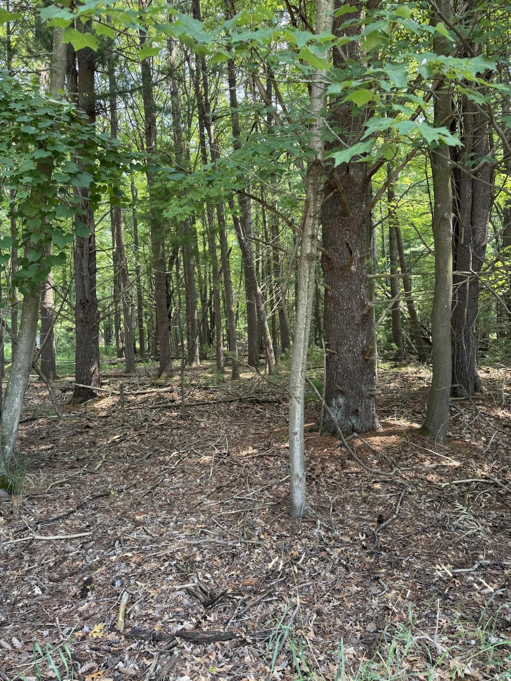 VL 3rd Ave, Pentwater, MI 49449 - photo 2