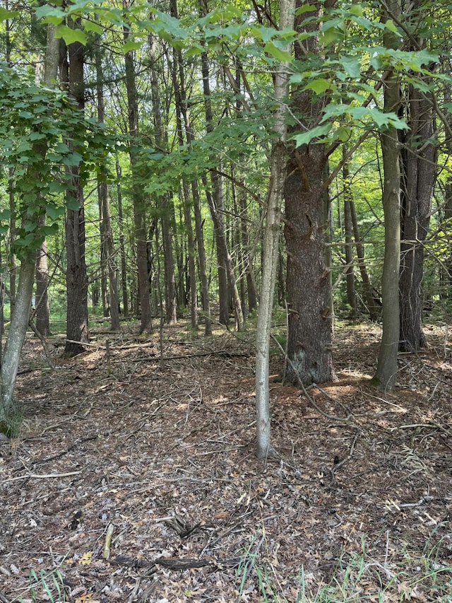 VL 3rd Ave, Pentwater, MI 49449 - photo 2