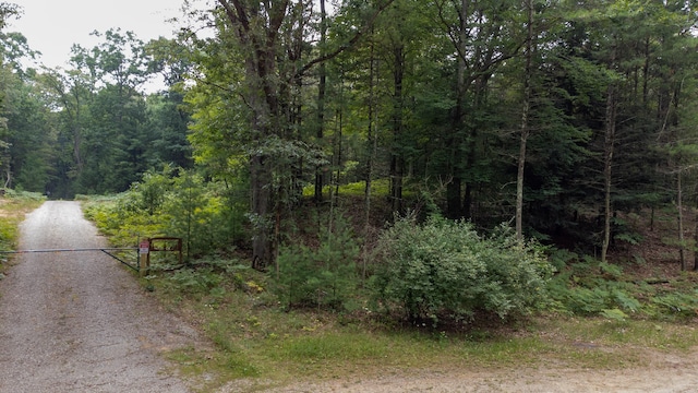 1 Wayne, Pentwater, MI 49449 - photo 4