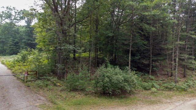 1 Wayne, Pentwater, MI 49449 - photo 6