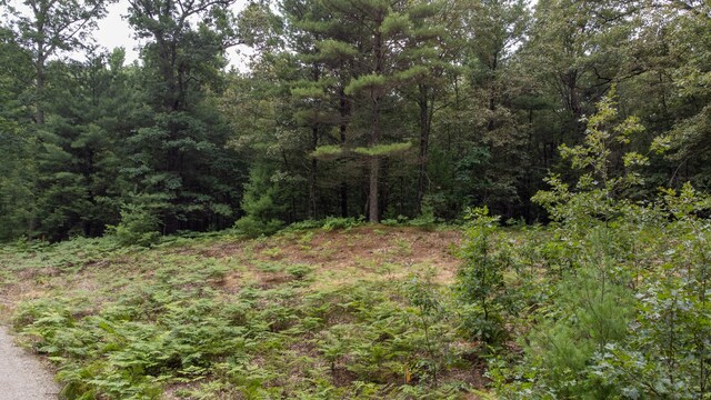 1 Wayne, Pentwater, MI 49449 - photo 7