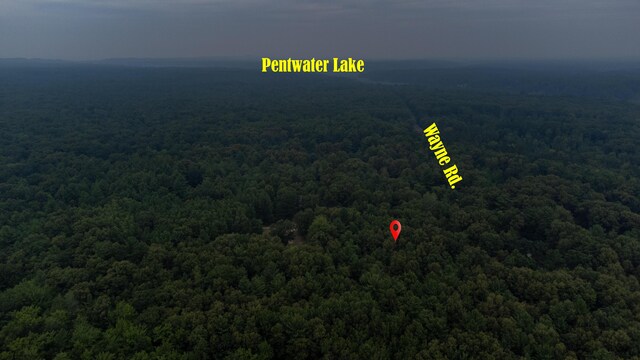 1 Wayne, Pentwater, MI 49449 - photo 8