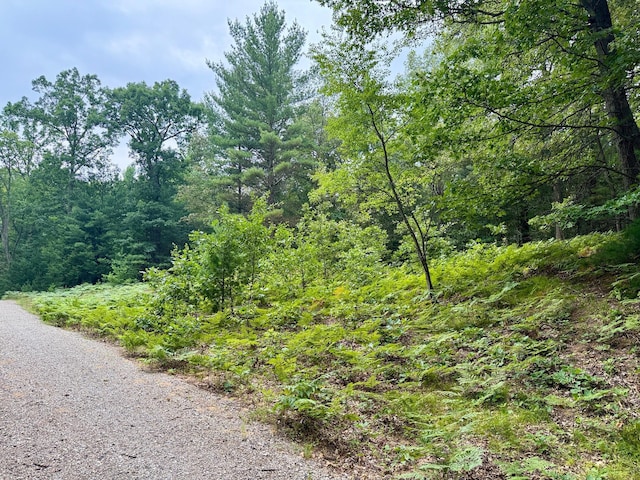 1 Wayne, Pentwater, MI 49449 - photo 3