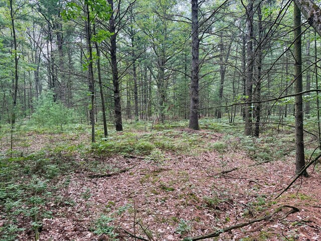 1 Wayne, Pentwater, MI 49449 - photo 11