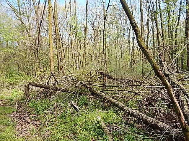 7000 Combs Rd, Jerome, MI 49249 - photo 26