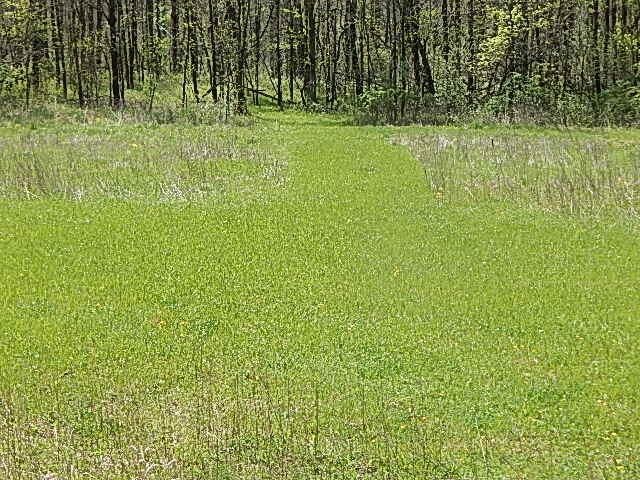 7000 Combs Rd, Jerome, MI 49249 - photo 45