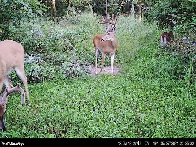 7000 Combs Rd, Jerome, MI 49249 - photo 2