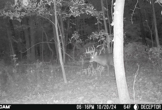 7000 Combs Rd, Jerome, MI 49249 - photo 6