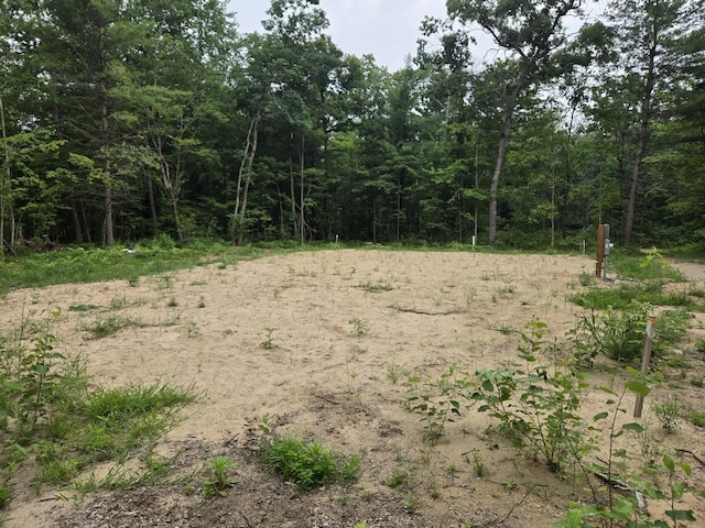 5369 E 68th St, Chase, MI 49623 - photo 6