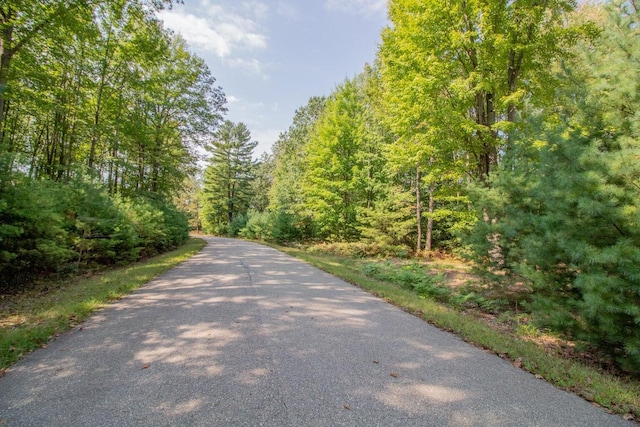 6362 Cedar Trce, Canadian Lakes, MI 49346 - photo 4