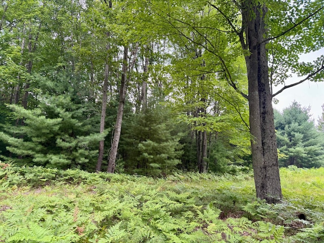 6362 Cedar Trce, Canadian Lakes, MI 49346 - photo 3