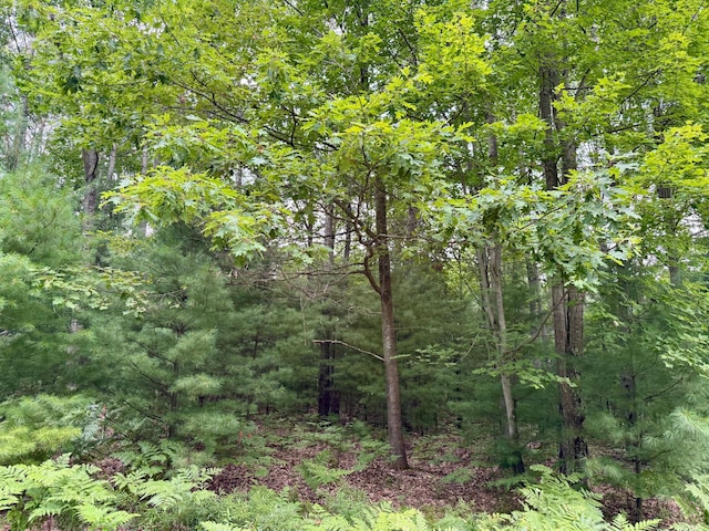 6362 Cedar Trce, Canadian Lakes, MI 49346 - photo 2