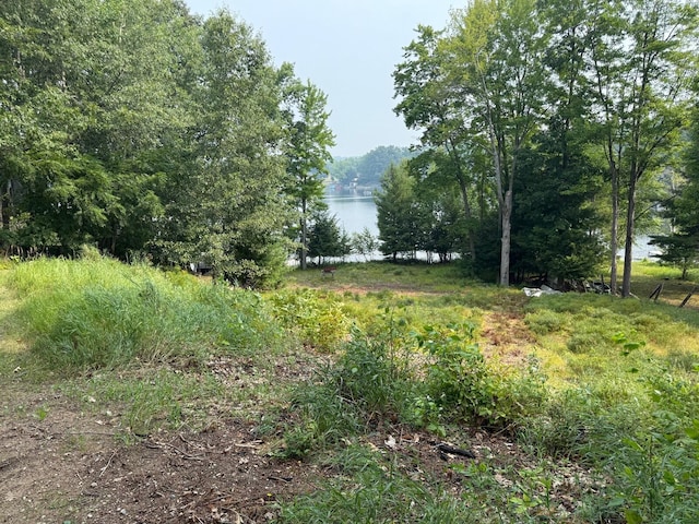 11036 1st St, Mecosta, MI 49332 - photo 1