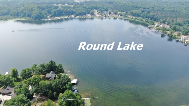 11036 1st St, Mecosta, MI 49332 - photo 3