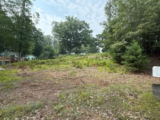 11036 1st St, Mecosta, MI 49332 - photo 9