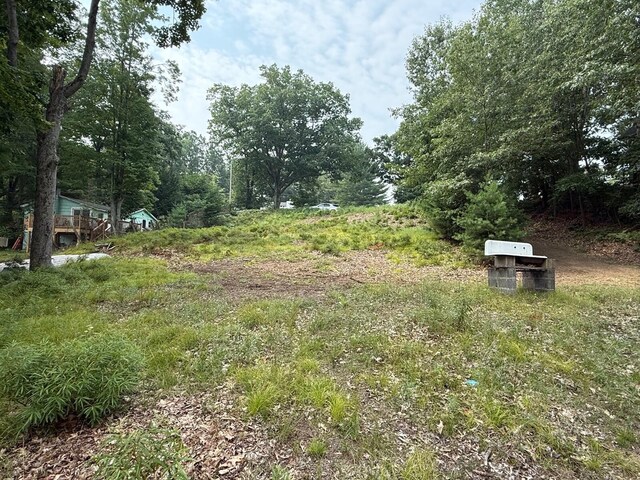 11036 1st St, Mecosta, MI 49332 - photo 10