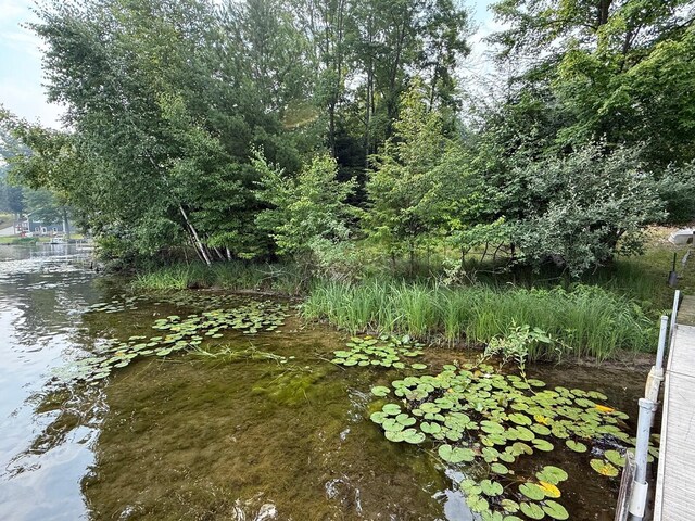 11036 1st St, Mecosta, MI 49332 - photo 12