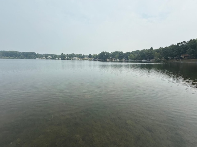 11036 1st St, Mecosta, MI 49332 - photo 13