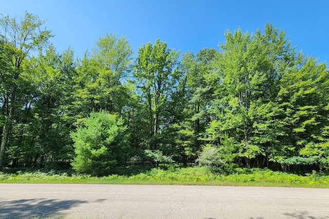 6127 Fawn Lake Dr, Canadian Lakes, MI 49346 - photo 1