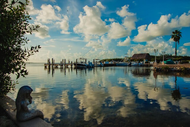 94220 Overseas Hwy Unit 5E, Tavernier, FL 33070 - photo 5
