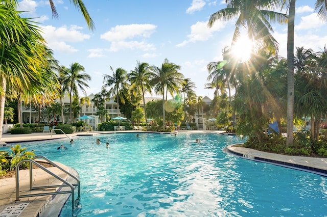 2600 Overseas Hwy Unit 87, Marathon, FL 33050 - view of swimming pool