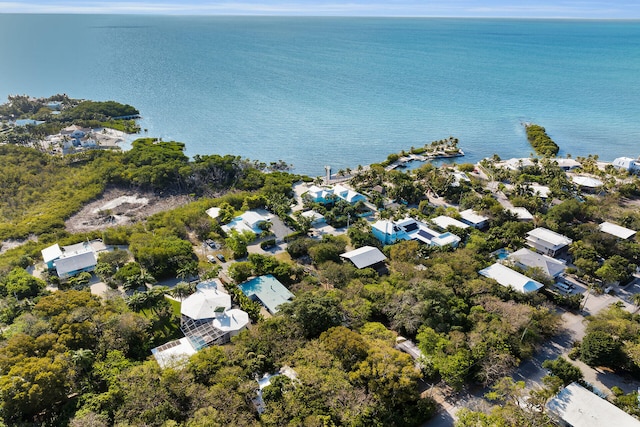 drone / aerial view featuring a water view and a residential view