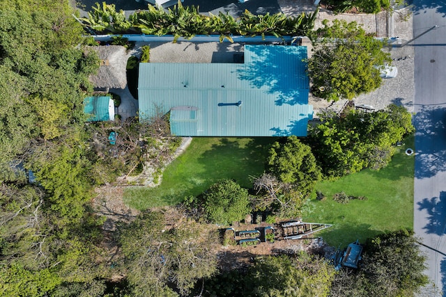 bird's eye view