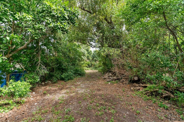230 Apache St, Tavernier, FL 33070 - view of nature