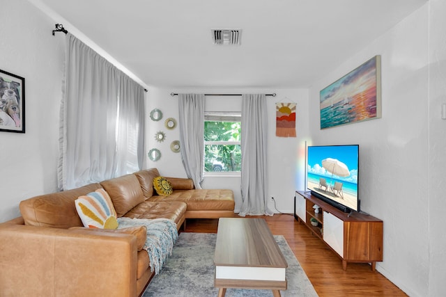 living room with hardwood / wood-style flooring