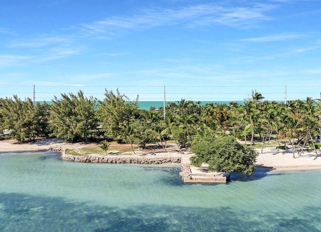 view of swimming pool with a water view