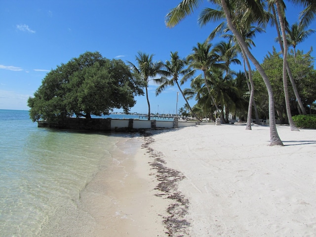 view of yard featuring a water view and a beach view