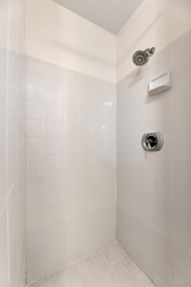 98202 Windward Ave, Key Largo, FL 33037 - bathroom with tiled shower