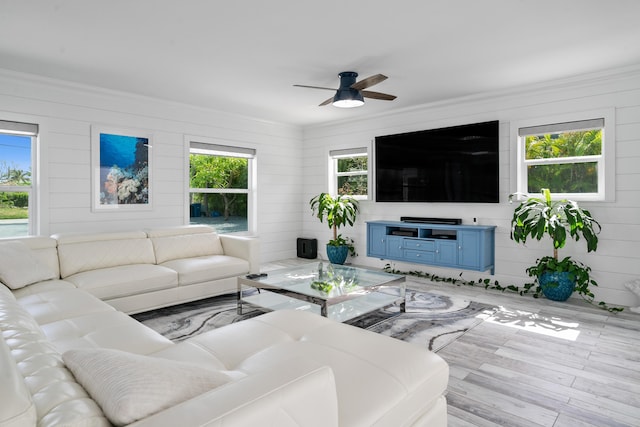 living room with ceiling fan, ornamental molding, and light hardwood / wood-style flooring