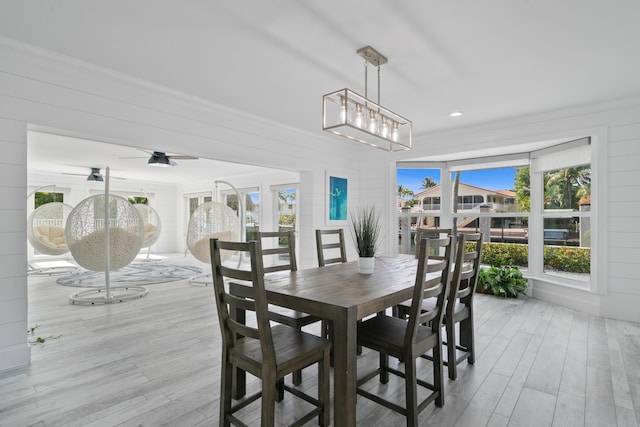 dining room with crown molding, ceiling fan, and light hardwood / wood-style flooring
