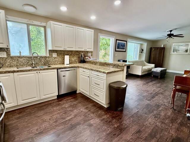 kitchen with sink, a wealth of natural light, stainless steel dishwasher, and white cabinets