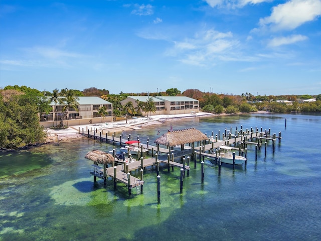 dock area with a water view