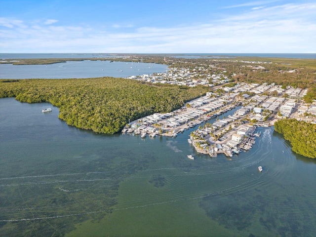 aerial view of a nearby body of water