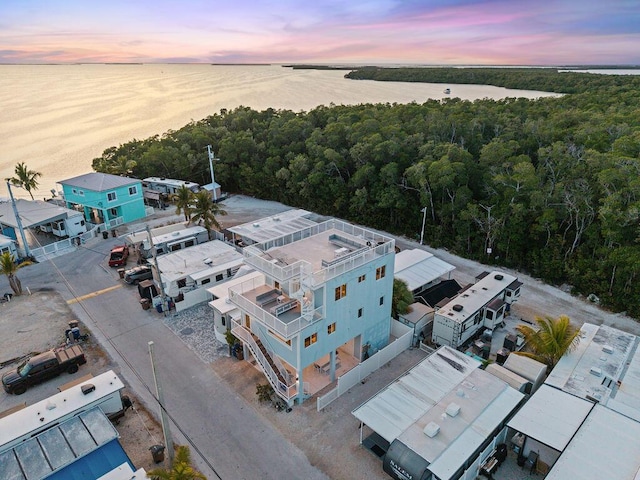 drone / aerial view of a forest and a large body of water