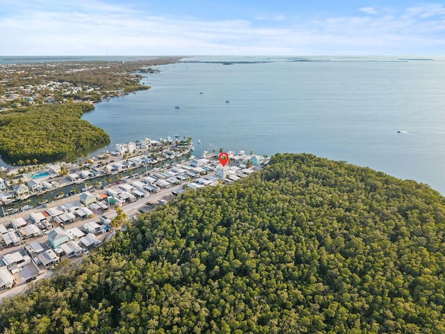 aerial view of property's location featuring a nearby body of water