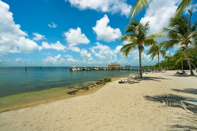 water view featuring a beach view