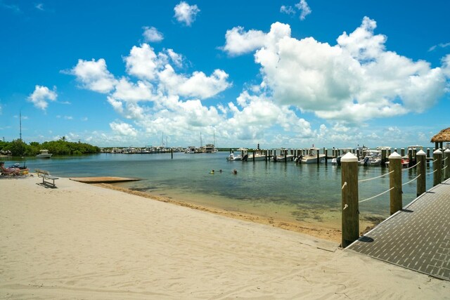 water view featuring a boat dock